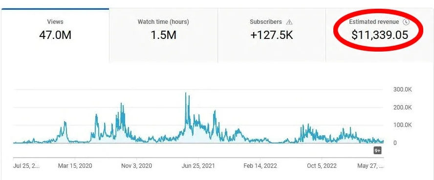 Student YouTube channel income