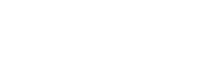 asset
