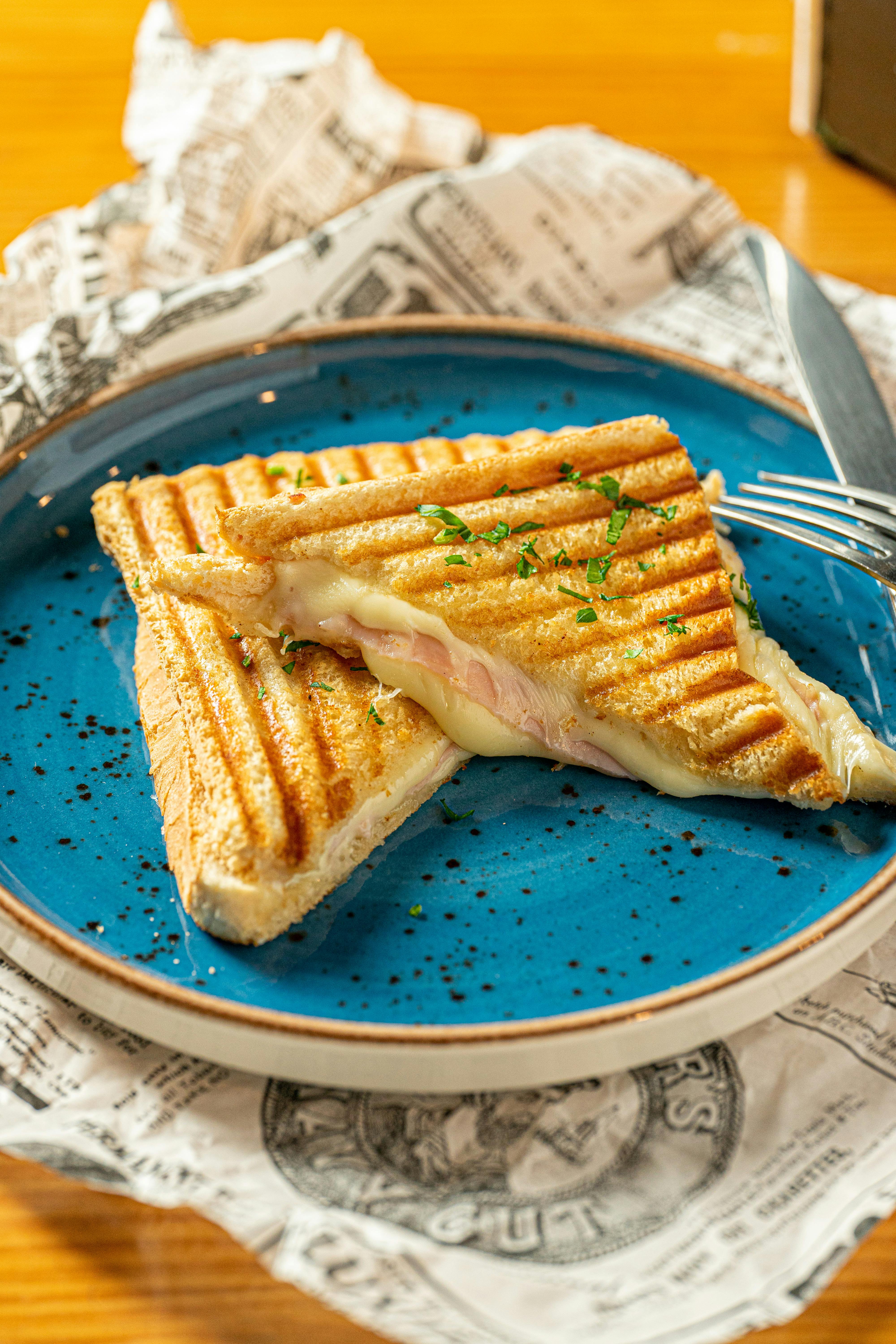 Cheese Sandwich - Is it healthy to have cheese? Find out in the Cheese awareness masterclass