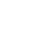 asset
