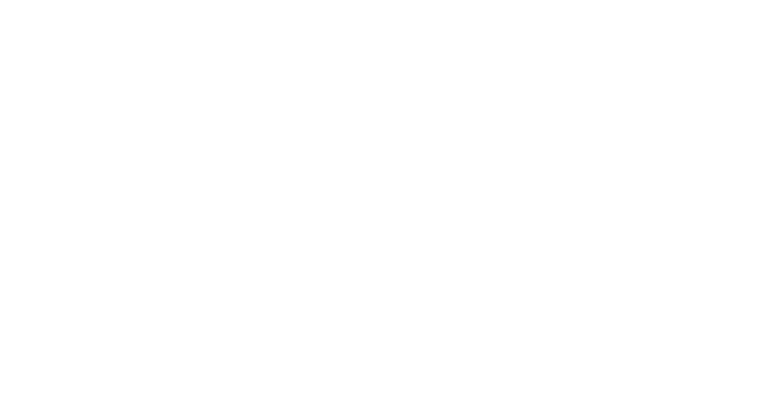 asset