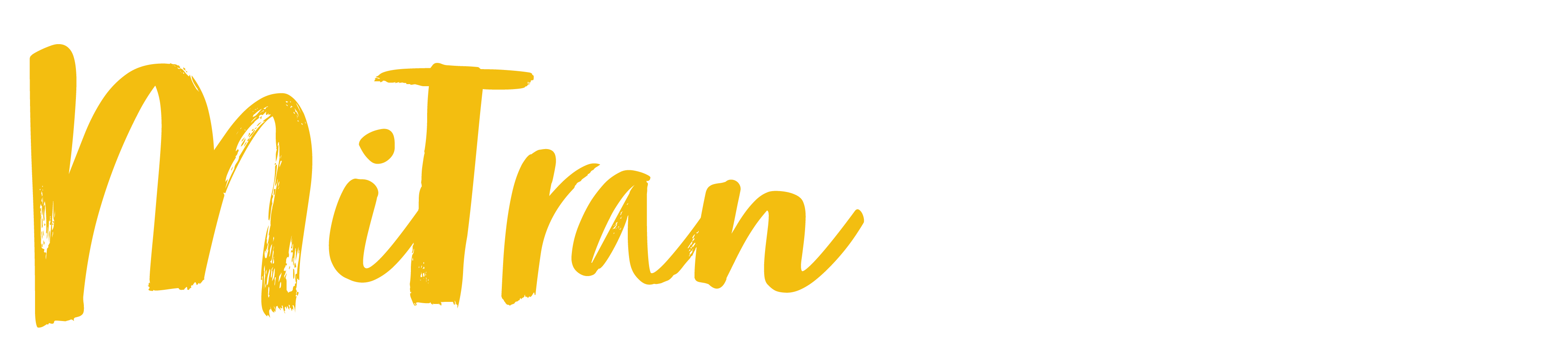 asset