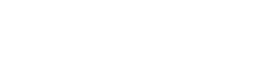 asset